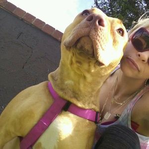 Meet your Posher, Michelle